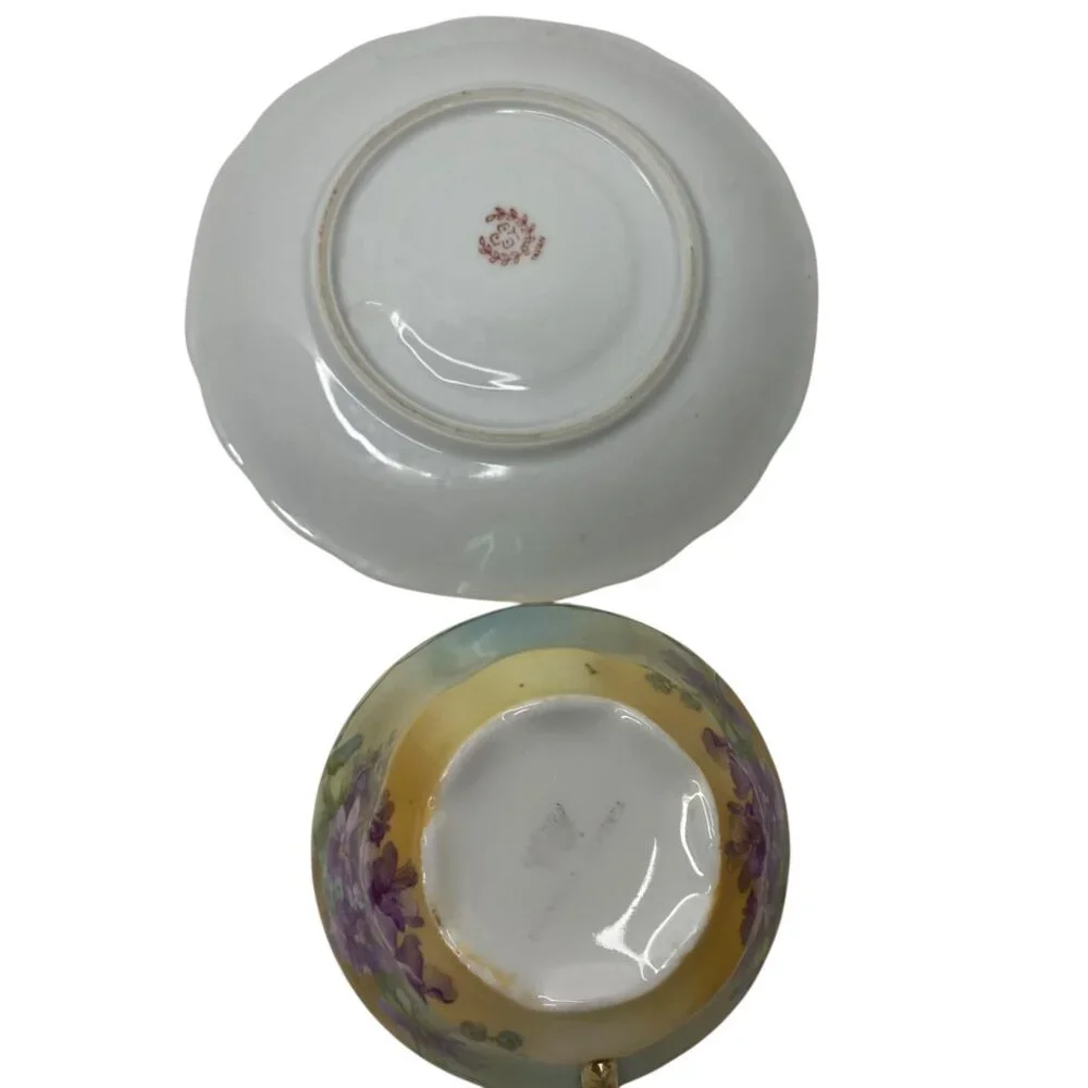 Vintage Imperial Austria Porcelain Tea Cup Japan Saucer Purple‎ Floral Gold